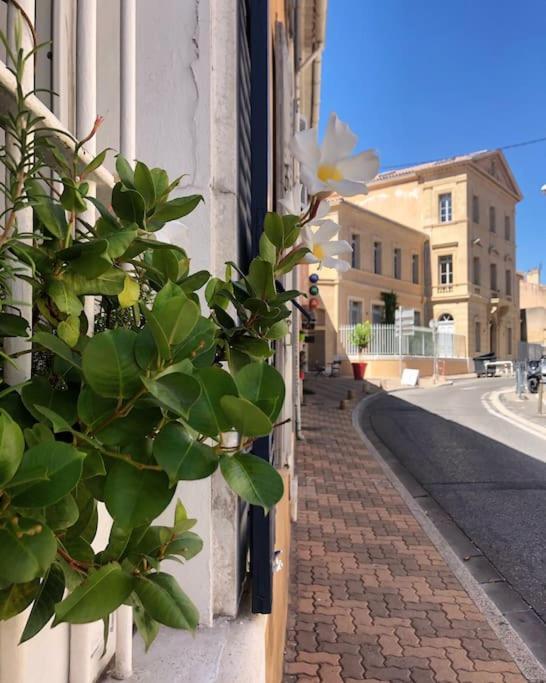 Studios Du Marin Sur Port De La Ciotat Exterior photo